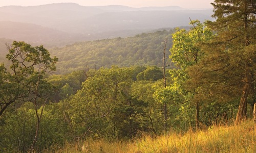 image of nature and hills