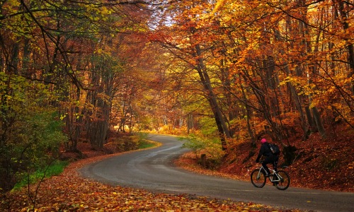 local trails in Tuxedo