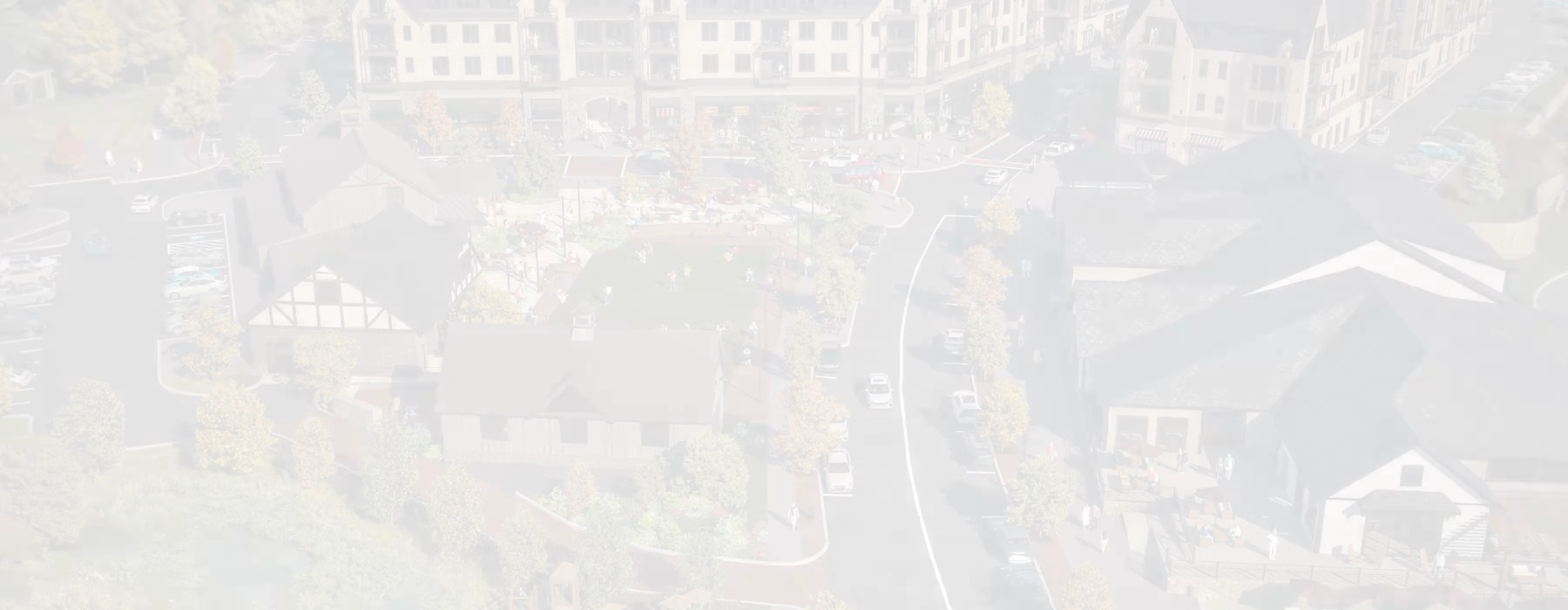 aerial of local community